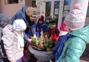 sadzenie kwiatów