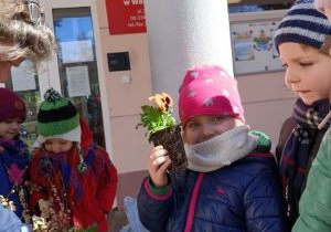 sadzenie kwiatów