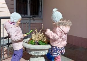 sadzenie kwiatów