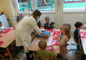zajęcia
