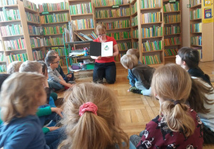 biblioteka