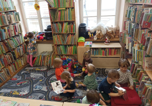 biblioteka