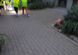 zielona noc