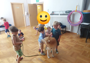 wizyta