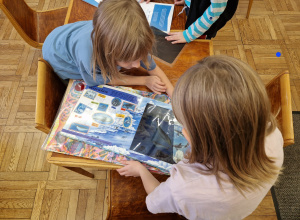 Kotki w bibliotece