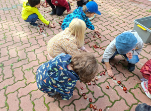 Świetliki witają Panią Jesień