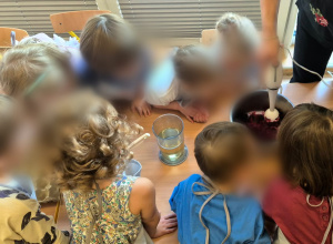 Witaminki w grupie Nutki - burak w roli głównej