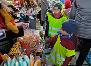 Kotki robią zakupy