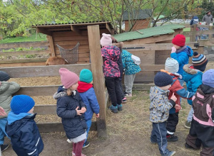 Wycieczka na Farmę Cztery Pory Roku