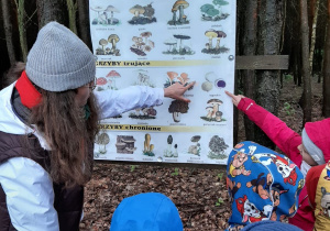Dzieci poznają ciekawostki na temat grzybów