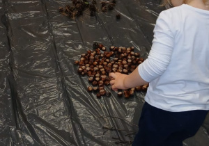 Dziecko idzie po ścieżce sensorycznej z kasztanów.