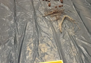 Jesienna ścieżka sensoryczna