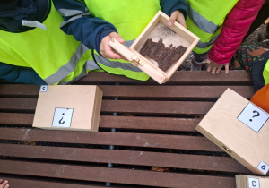 Dzieci na wycieczce w lesie otwierają pudełka z zagadkami.