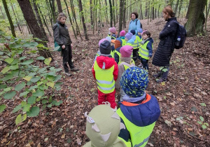 Dzieci spacerują po lesie.