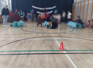 Kropelki na Powiślańskiej Olimpiadzie Przedszkolaków